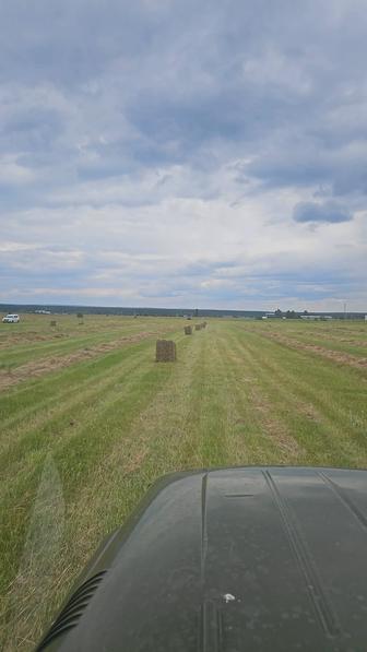 Элитное сено