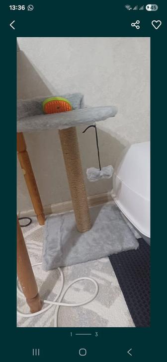 Когтеточка