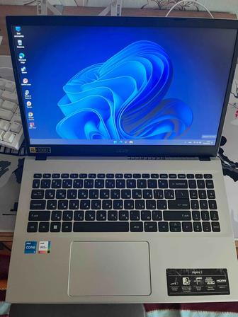 Acer asperi 3