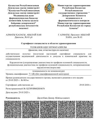 Консультация кардиолога. Расшифровка ЭКГ, ХОЛТЕР ЭКГ