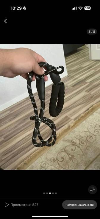 Ошейник, поводок, щетка, когтегрызка