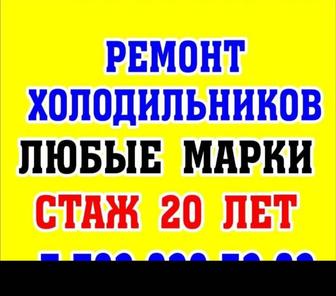 Ремонт холодильников на дому.