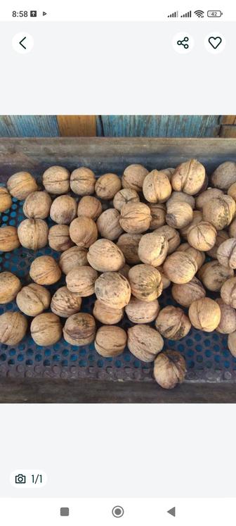 Орехи грецкие