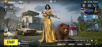 PUBG mobile account