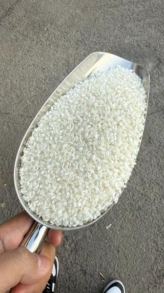 Продам корейский рис для каши. Свежий урожай. Сорт Нукус.