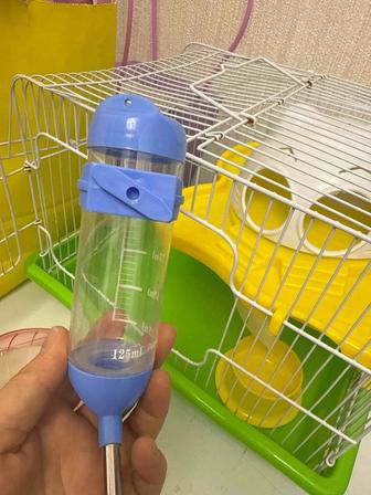 Клетка хомяка