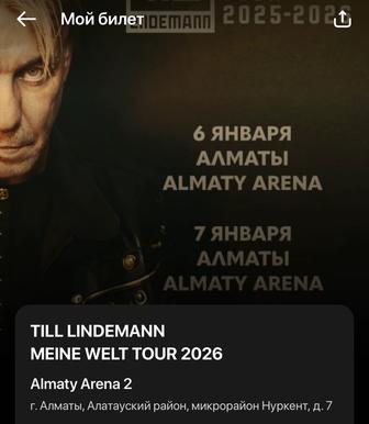 Продам действенный билет на концерт Тилля Линдемана