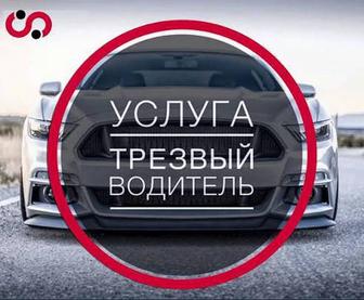 Трезвый водитель