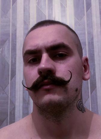 Фриланс, программист