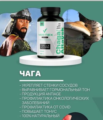 Чага Вертекс. Chaga Altaysk Vertex