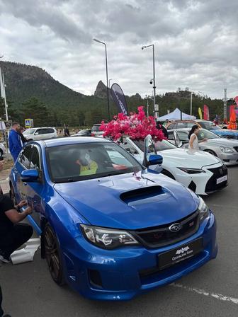 Трезвый водитель