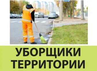 Уборка Дворов,Садов ,Дачи