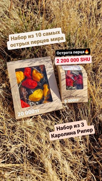 Самые острые перцы в Казахстане!
SuperHot 🔥Перцы🌶 в ассортименте!