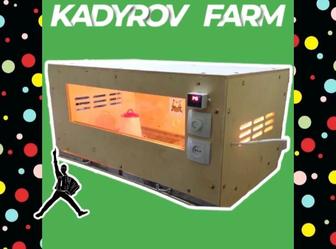 Компактный брудер для мелких и крупных поголовий
