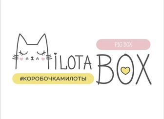 Подарочные боксы-сюрпризы MilotaBox