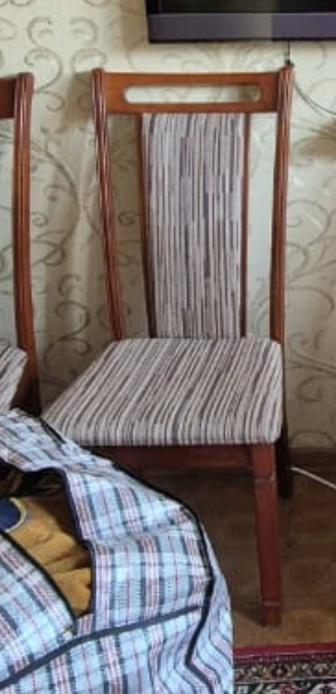 Продам стулья