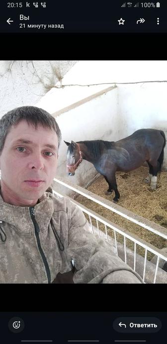 Электрик ...