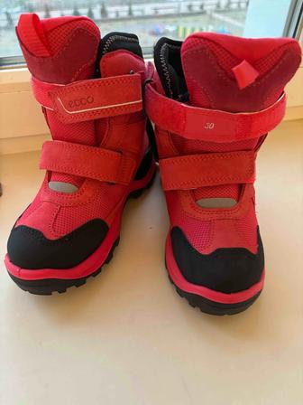 Продам сапожки Экко