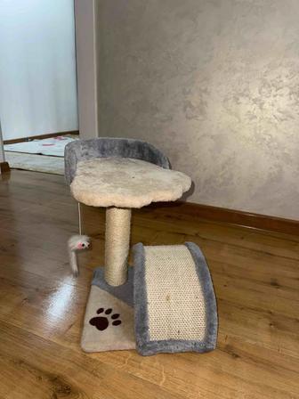 Домик на кошку