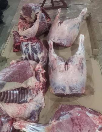 Соғым, қыстық Соғым,жылқы,сиыр еті