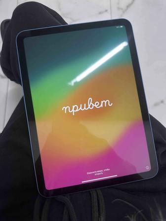 iPad