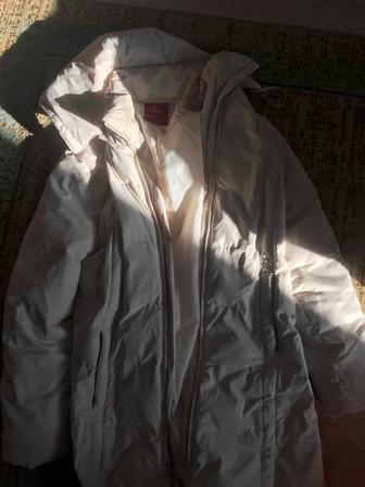 Отдам женскую куртку за 2000