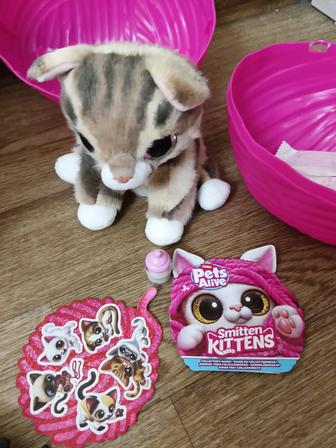 Это игрушка-сюрприз, в коллекции 8 разных котят, включая ультра-редкого рад