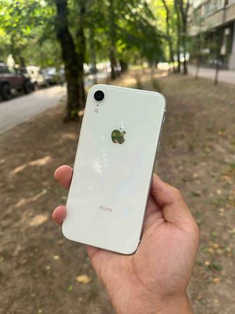 Продам iPhone XR 64gb идеал!