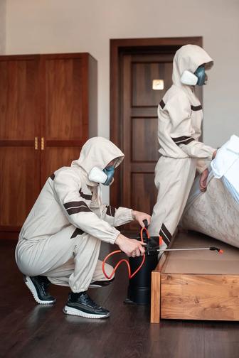 Asyl Dez специалисты по уничтожению вредителей. Работаем 24/7