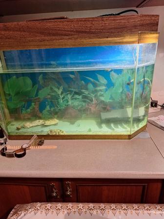 Продам аквариум настольный с рыбками