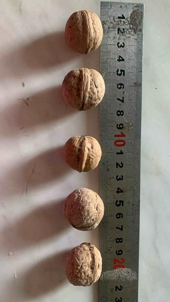 Продам орехи грецкие урожай 2025