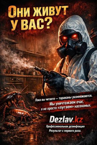 Дезинфекция Тараз и область