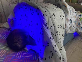 Фотолампа аренда