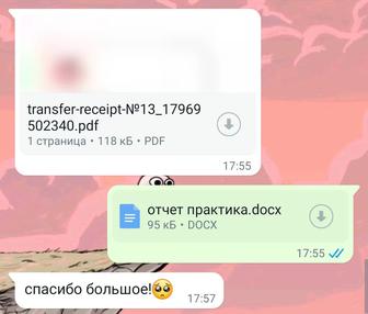 Курсовые работы, отчеты по практике, сайты на заказ