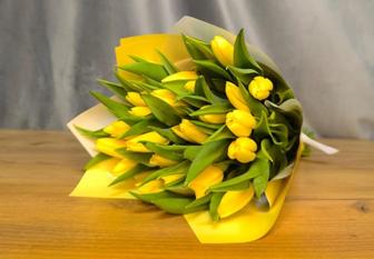 Продам Тюльпаны оптом