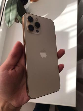 iPhone 12 Pro Max 256