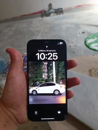 Apple 12 pro max