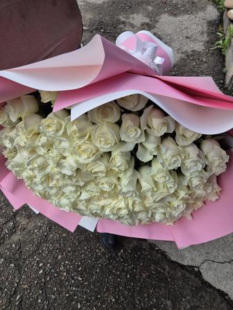 Розы Алматы