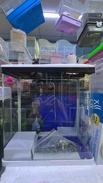 Аквариумы на любой вкус