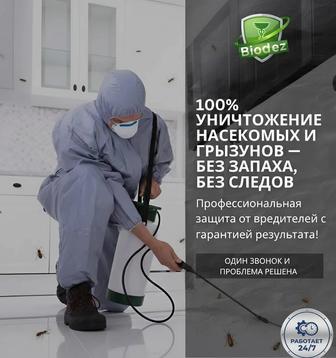 Дезинфекция клопы, тараканы, блохи, клещи, осы. Гарантия 100%!