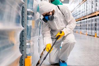 Дезинфекция клопы, тараканы, блохи, клещи, осы. Гарантия 100%!