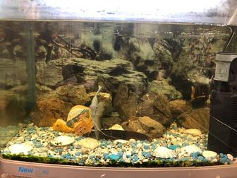 Аквариум