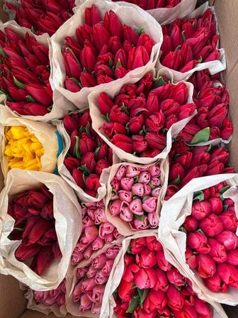 Тюльпаны к 8 марта