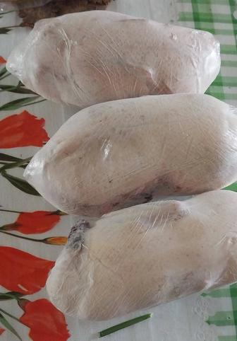 Мясо домашних уток