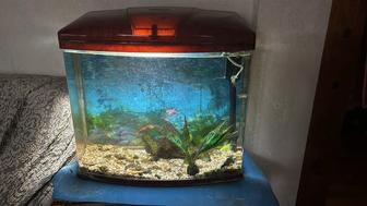 Продам аквариум фирменный