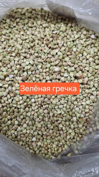Зеленая гречка Уральск