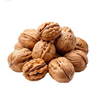 Продам орехи грецкие свежие