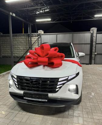 Бант на машину