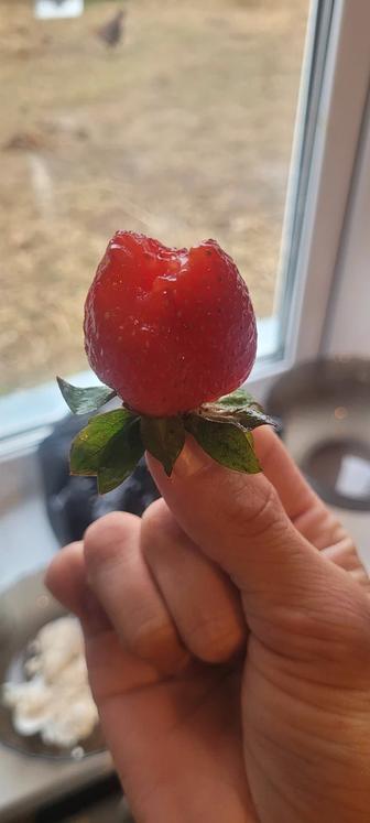 Делаю дизайны для ваших реклам. На ваш вкус и желание