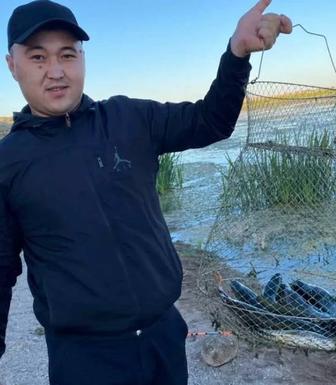 Трезвый водитель